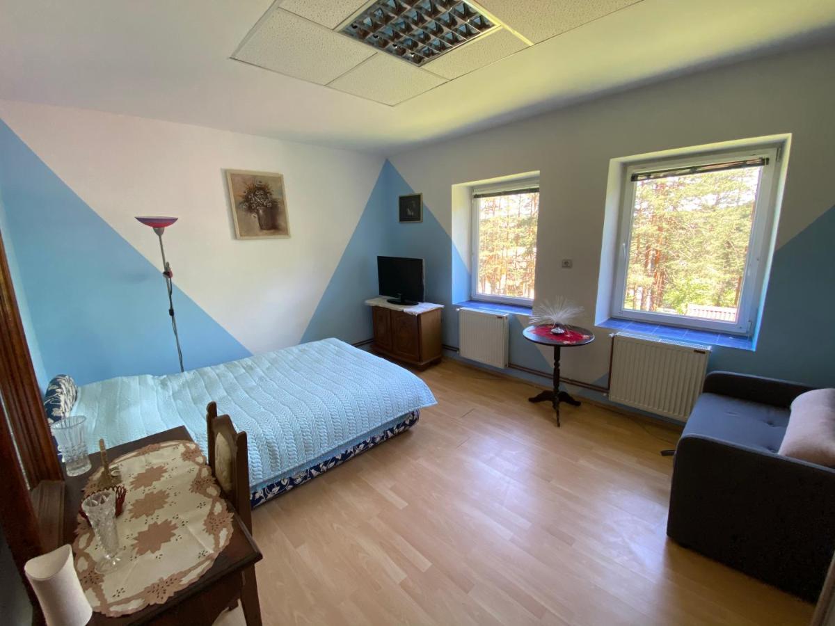 Natasa Apartment Zlatibor Bagian luar foto