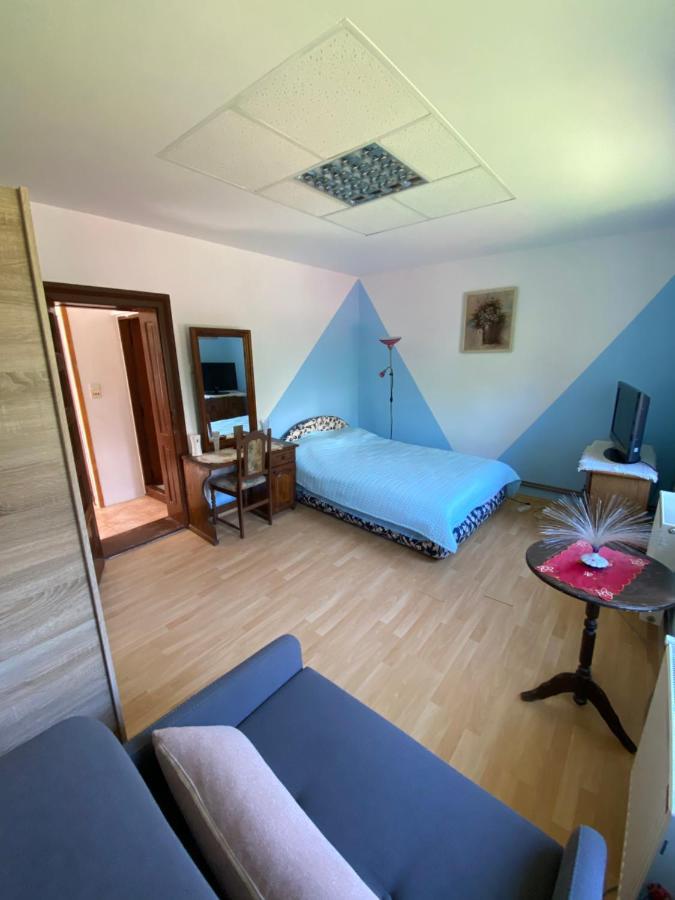 Natasa Apartment Zlatibor Bagian luar foto